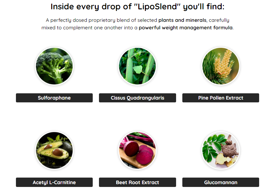 liposlend ingredients